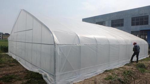 Professional Large Size Durable PE Film Greenhouse