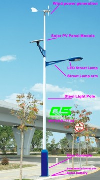 WPSRR-7704 3~15m Municipal Road Hot DIP Galvanized Steet Light Pole style