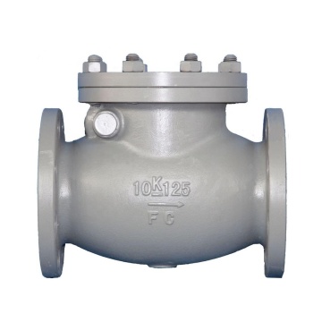 COVNA API 6D DN100 6 Inch JIS 10K Cast Iron Flange End Swing Check Valve for Water: Detailed Product Title