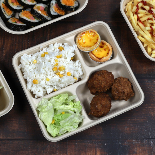 Degradable Takeout Containers, Biodegradable food container Eco Friendly Take Out Food Containers with Lids for lunch