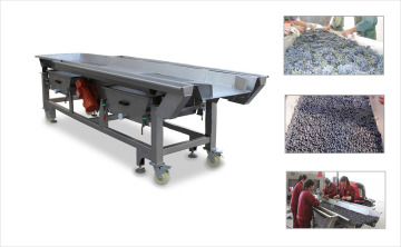 Grape Vibrating Sorting Machine & Grape Sorting Table