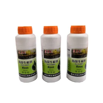 Roots and Fertilizers: Nurturing Plant Growth