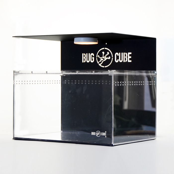 Дополнительная густая ящик для акрилового размножения для рептилии