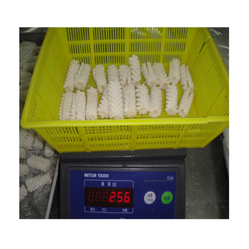 cheapest frozen squid flower,deep frozen squid flower