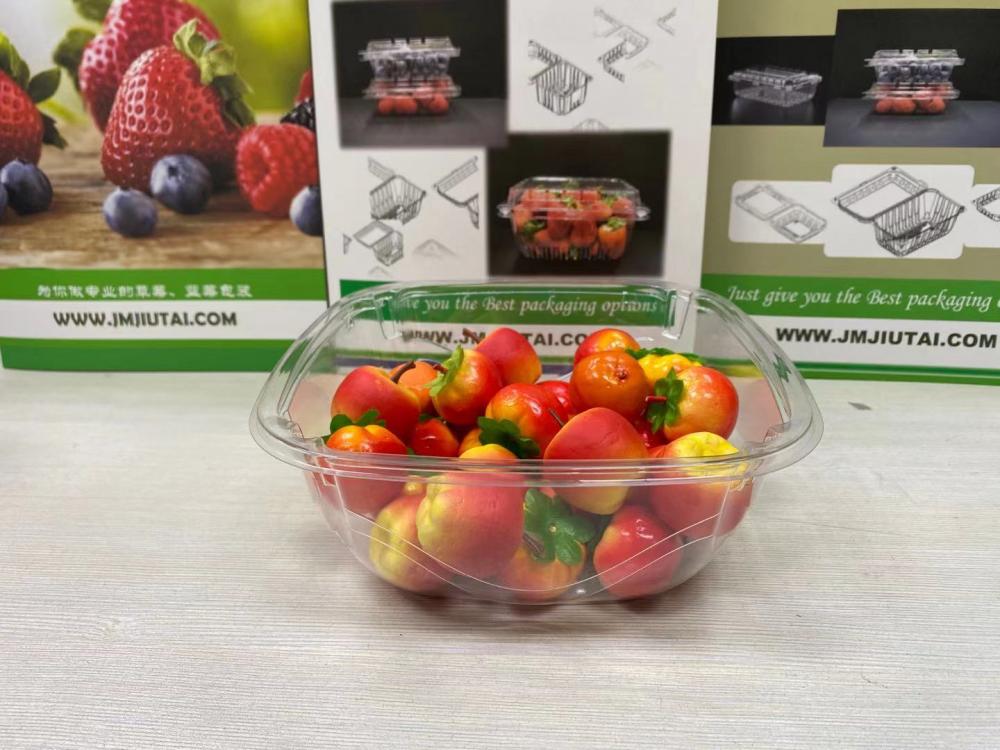 Clear Disposable Tomato Tub