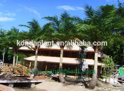 New design indoor and outdoor decoration Artificial coconut tree/fake coco tree/high imitation coco tree in Guangzhou