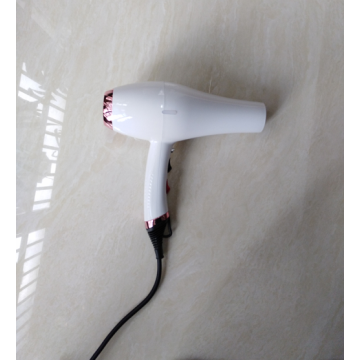 AC Motor Professional Ironic Electric Hair Dryer