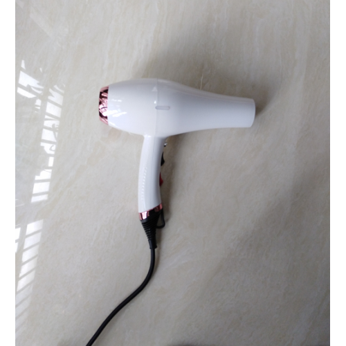AC Motor Professional Ironic Electric Hair Dryer