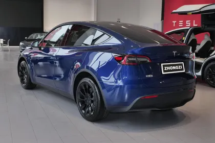 Tesla Model Y 2024 Pure Electric SUV - New Energy Vehicle