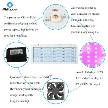 LED Grow Light Terbaik untuk Tanaman Indoor