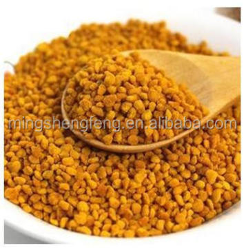 Qinghai farms harvest organic tea rape pine pollen powder from henan pro bee products factory