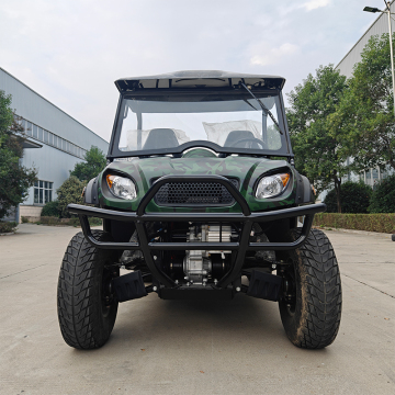 Made in China Electric 4x4 UTV for Farm
