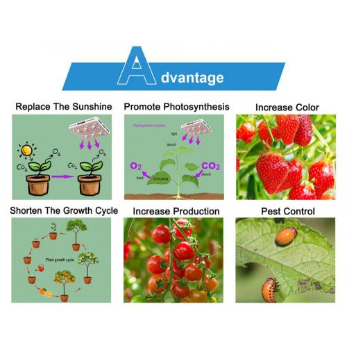 Phlizon Grow Light in Greenhouse 660nm Spectrum