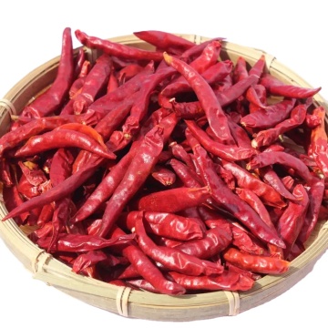 عبوة كبيرة مخصصة للتوابل: Geko Food Alibaba