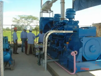 Natural Gas Generation Set with Woodward Actuator