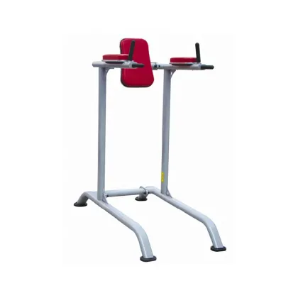 Chin dip leg raise with balance ball machine