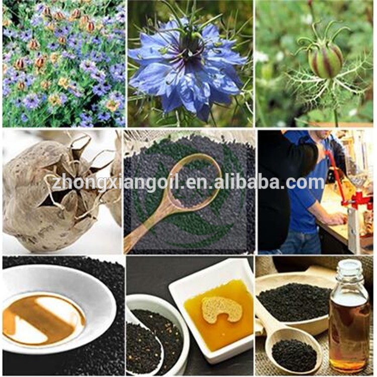 2019 Most popular organic Black Seed Oil