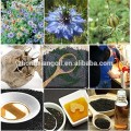 2019 Most popular organic Black Seed Oil