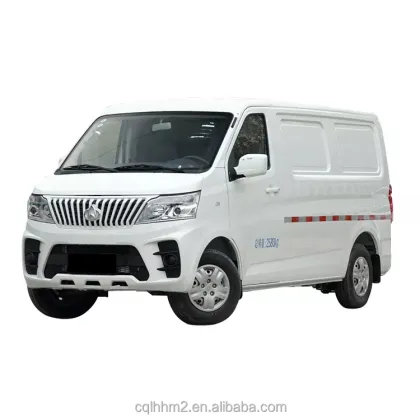 Hongyuan EM60 EV: Electric Mini Vans and Cargo Vans