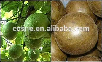 Luo Han Guo Momordica Extract