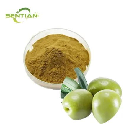 Oleuropein Olive Leaf Extract