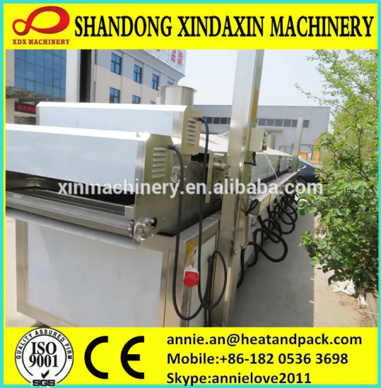 1000kg/h gas heated cashew nut fryer