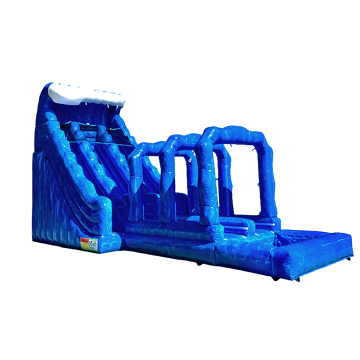 Hot Selling Inflatable Water Slide & Bouncy Castle for Swimming Pools