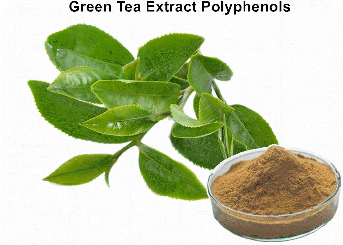 Pl17841103 Organic Green Tea Extract Weight Loss Bulk Supplements Green Tea Extract Anti Cancer