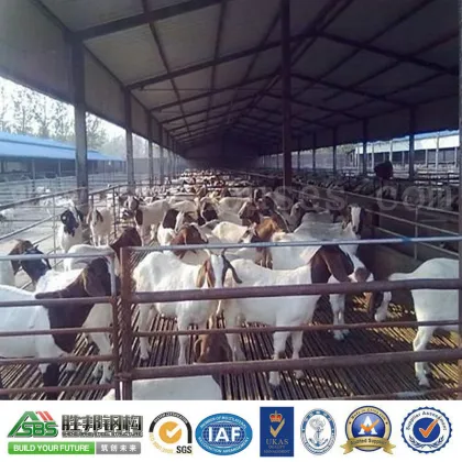 2015 SBS Green Materials Prefabricated Steel Structure Animal Husbandry Building