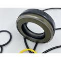 Kit di riparazione del motore a piedi escavatore Robex