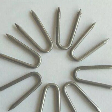 Staples spinato un chiodo a forma di U
