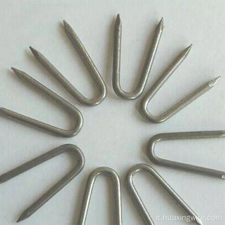 Staples spinato un chiodo a forma di U