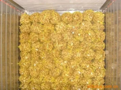 Ginger Fresh Ginger Dry Ginger Semi-Dry Ginger