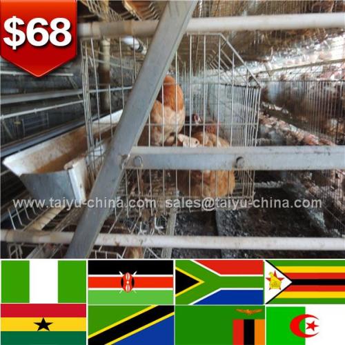 African deep galvanized battery cage for nigerian markets farm