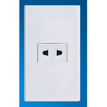 1 Gang 2 Pin Socket