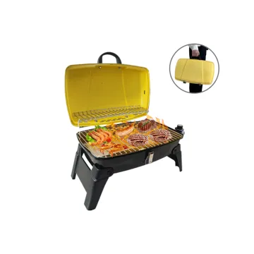 Bbq Gas Outdoor Kitchen Camping Portable Grill