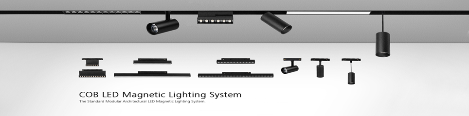 COB LED Magnetic Light