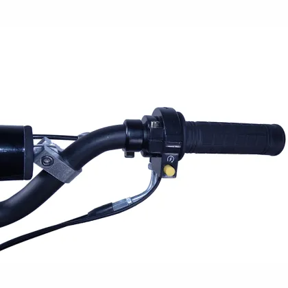 Compact and Affordable 1.5L & 49cc Folding Gas Scooters