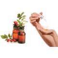 best price rosehip extract uses