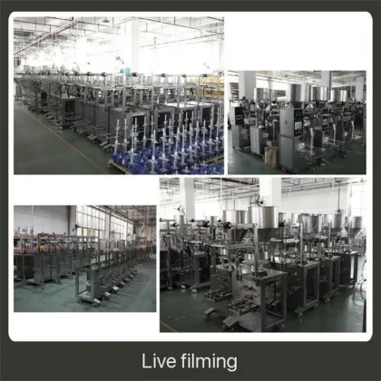 Automatic Desiccant Packaging Machine for Sesame Pills