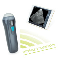 V1 Veterinário Handheld Ultrassom Scanner