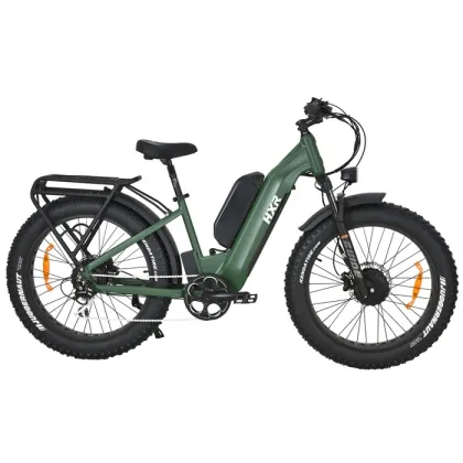1500W Powerful Fat Tire Dual Motors AWD Electric City Bike