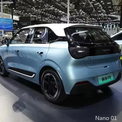 Compact Nano 01 2024 Car