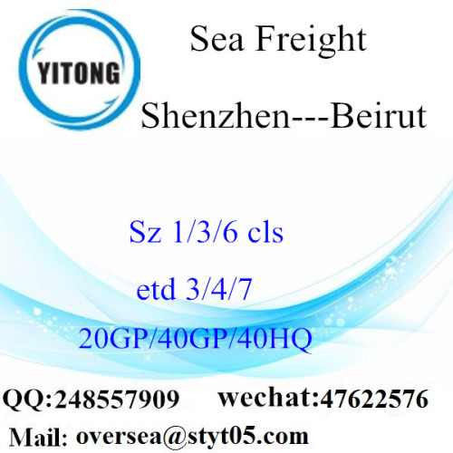 Shenzhen Port Sea Freight Shipping To Beirut