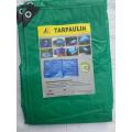 Green Color 200gsm PE Transparent Leno Mesh Tarpaulin