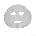 OEM Skin DIY niet-geweven gezichtsmasker