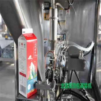 Carton Filling Capping Machinery