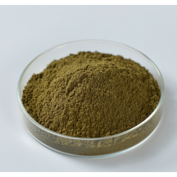 Bulk Olive Leaf Extract 20% Oleuropein