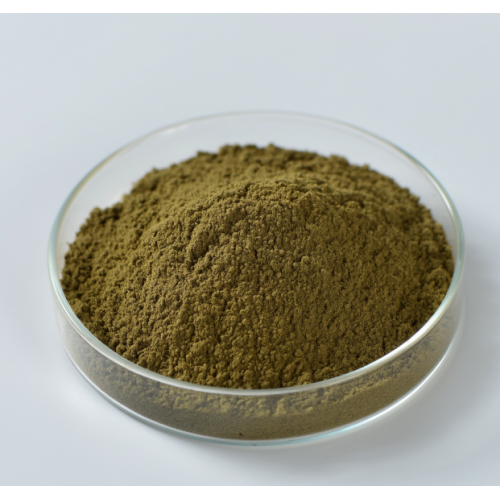 Bulk Olive Leaf Extract 20% Oleuropein