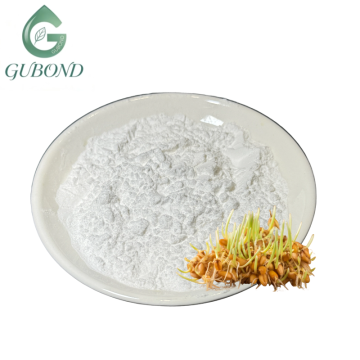 Alpha Amylase Powder for Digestive Supplement Formulations